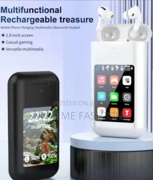 Carrying Treasure Portable Earbuds and Power Bank With Multimedia