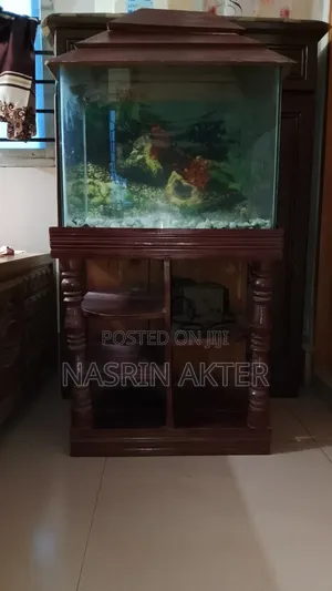 Photo - Fish Aquarium