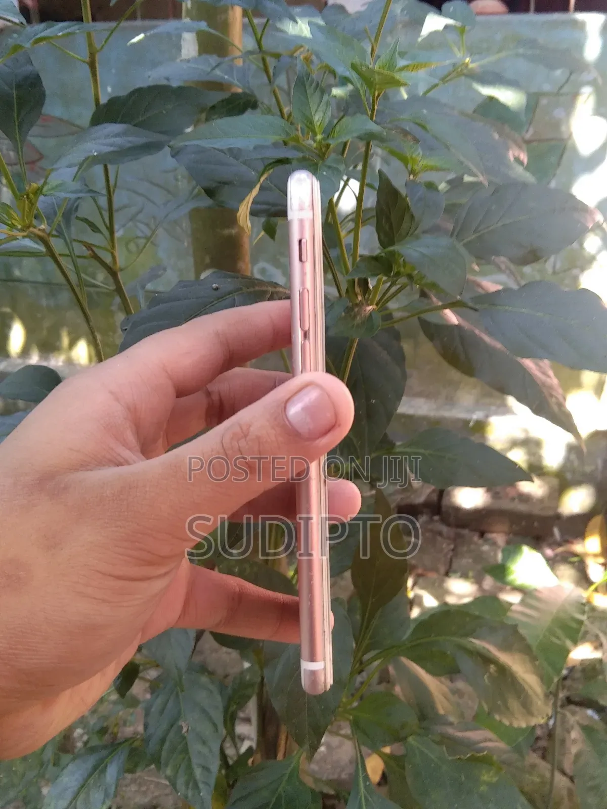 Apple iPhone 6s 64 GB Pink