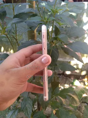 Apple iPhone 6s 64 GB Pink