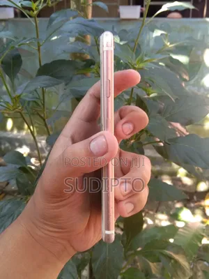 Apple iPhone 6s 64 GB Pink