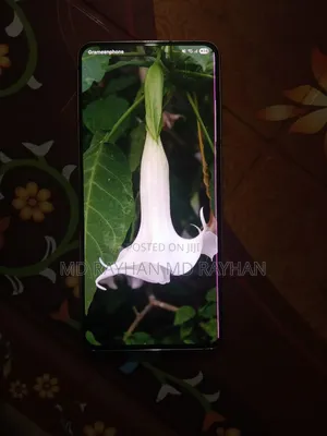 Photo - Samsung Galaxy S21 5G 256 GB White