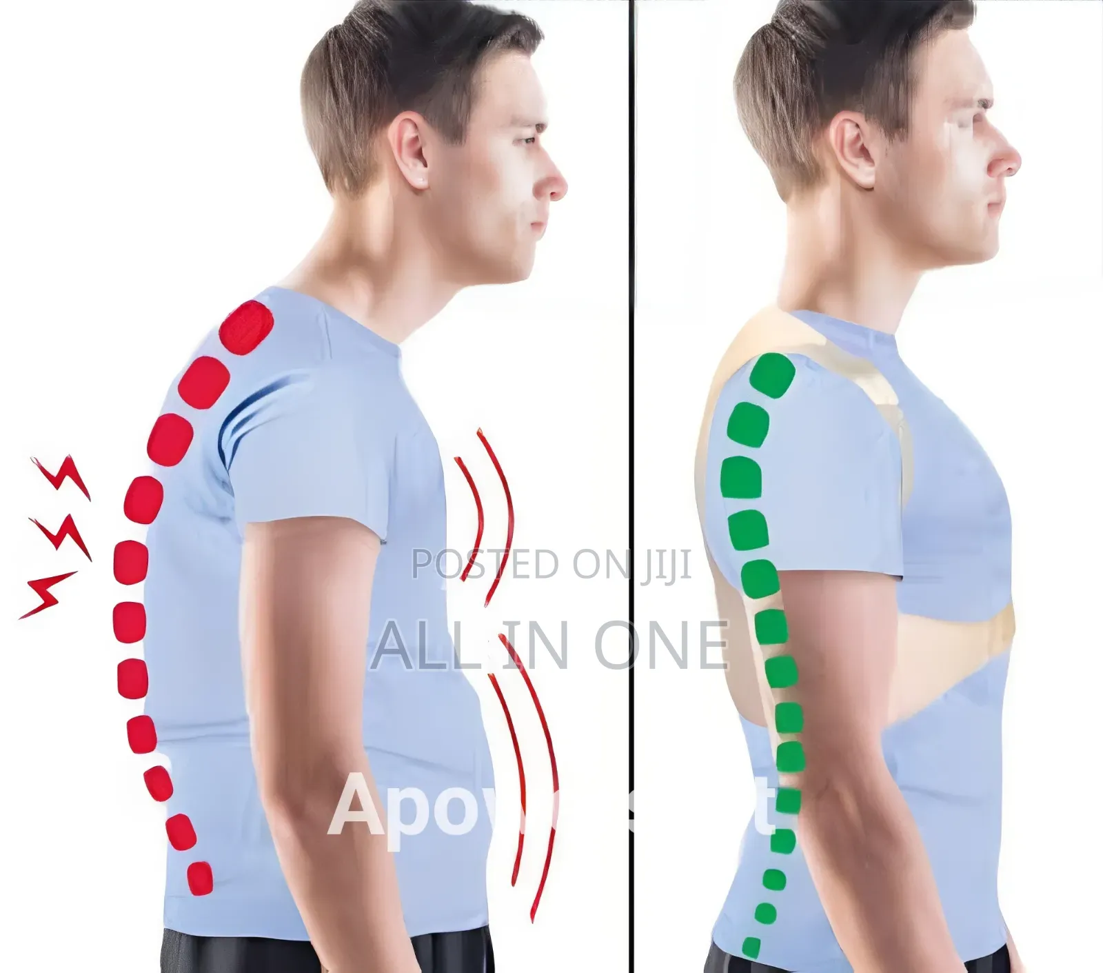 Royal Posture Back Support ব্যকপেইন বা মেরুদন্ডের ব্যাথাকে নিরাময় করে