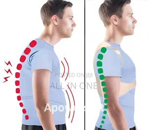 Royal Posture Back Support ব্যকপেইন বা মেরুদন্ডের ব্যাথাকে নিরাময় করে