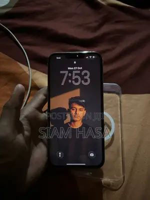 Apple iPhone 13 Pro Max 256 GB Gold