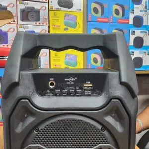 GTS-1283 6.5 Inch Speaker With Wired Microphone