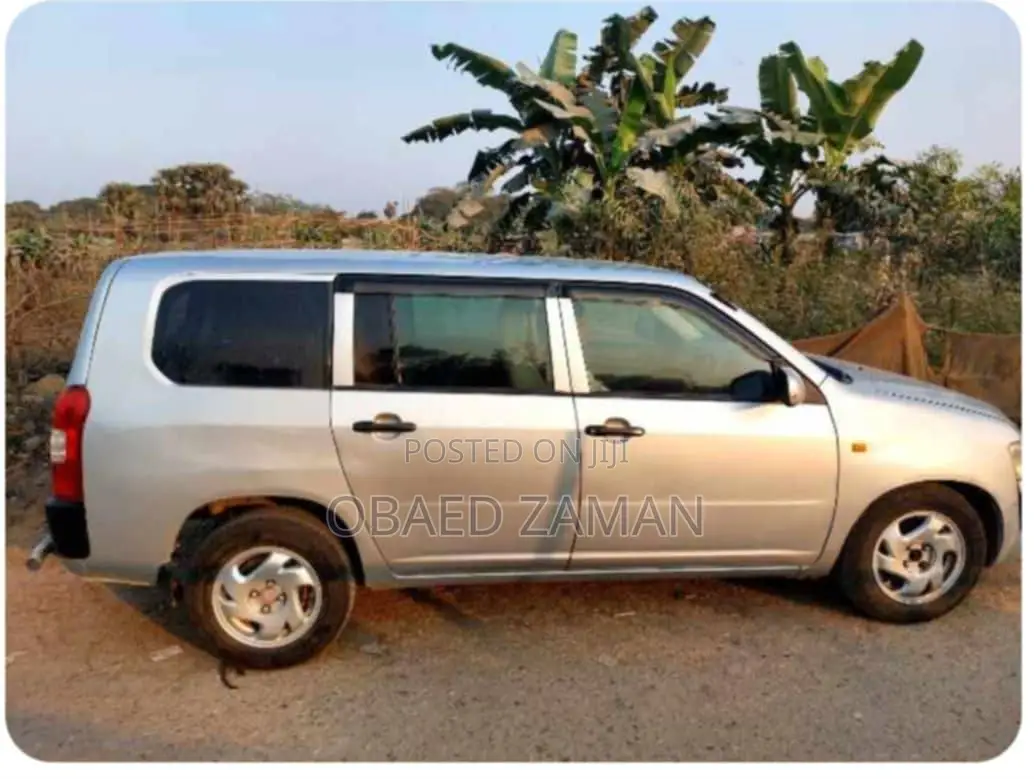 Toyota Probox 2008 Silver