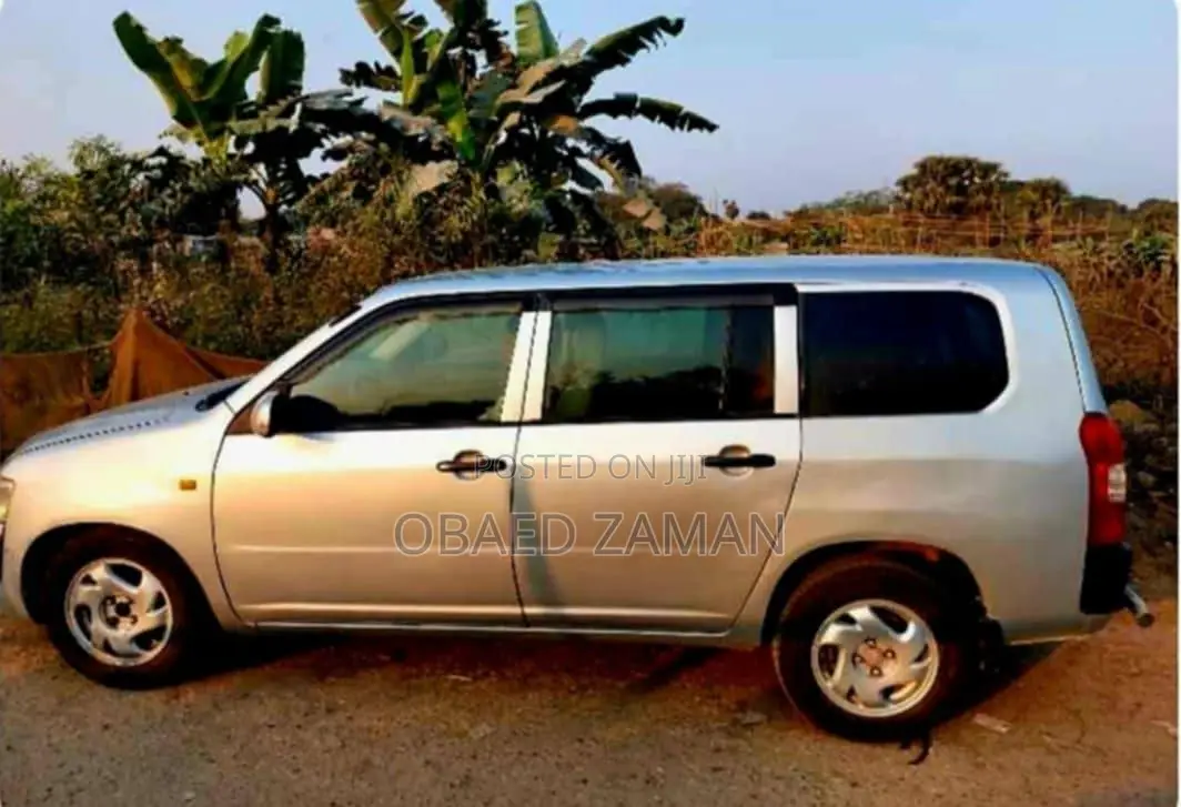 Toyota Probox 2008 Silver