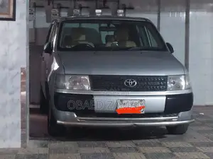 Toyota Probox 2008 Silver