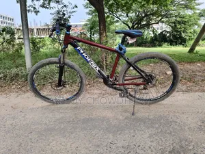 Photo - Phoenix Gear Cycle