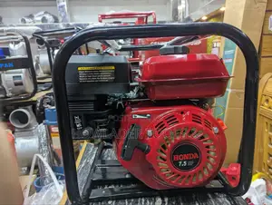 Photo - 1.5 Petrol Pump