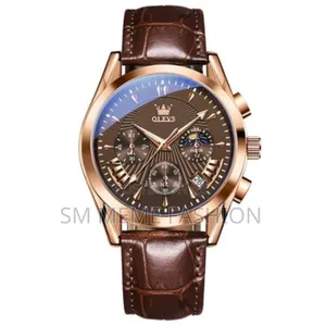 Olevs 2876 Multifunctional Luxury Genuine Leather Strap Watches In