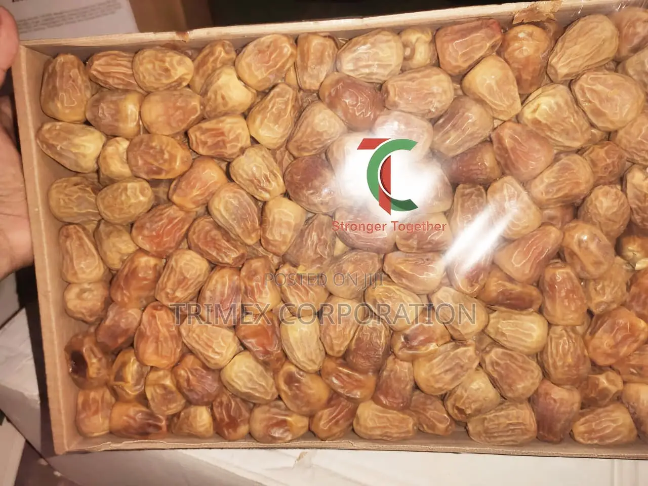 Sukkari Dates - 3 Kg Premium Quality, Fresh and Healthy