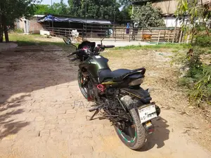 Photo - Hero Hunk 150 2018 Gray