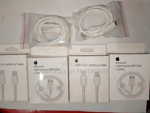 Apple Lightning To Usb Cable.