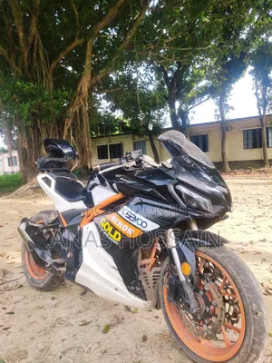 Photo - Taro 2020 Black