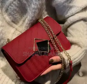 Stylish Ladies Bag