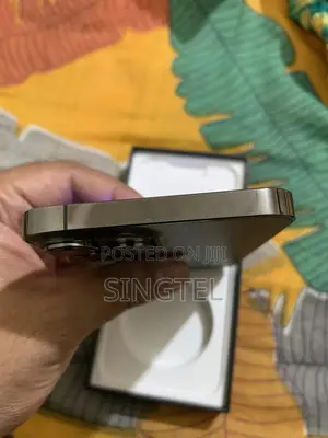 Apple iPhone 13 Pro Max 128 GB Gray