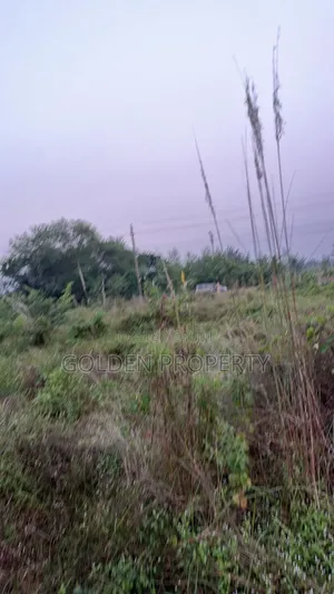 বসুন্ধরা এল-ব্লকে ৪ কাঠা দক্ষিনমূখী প্লট বিক্রয় | Bashundhara