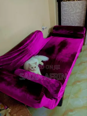 Photo - একটা ডিভান বিক্রি হবে