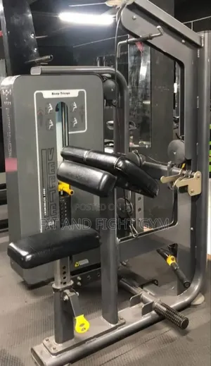 Photo - Biceps Curl and Triceps Extension Machine Sell