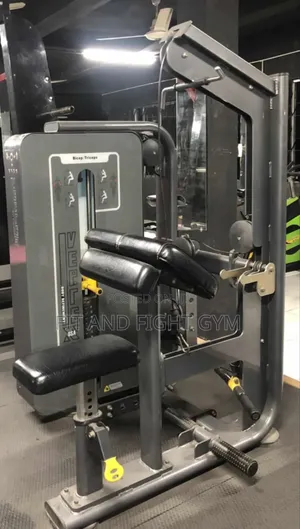 Biceps Curl and Triceps Extension Machine Sell
