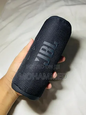 JBL Flip 6