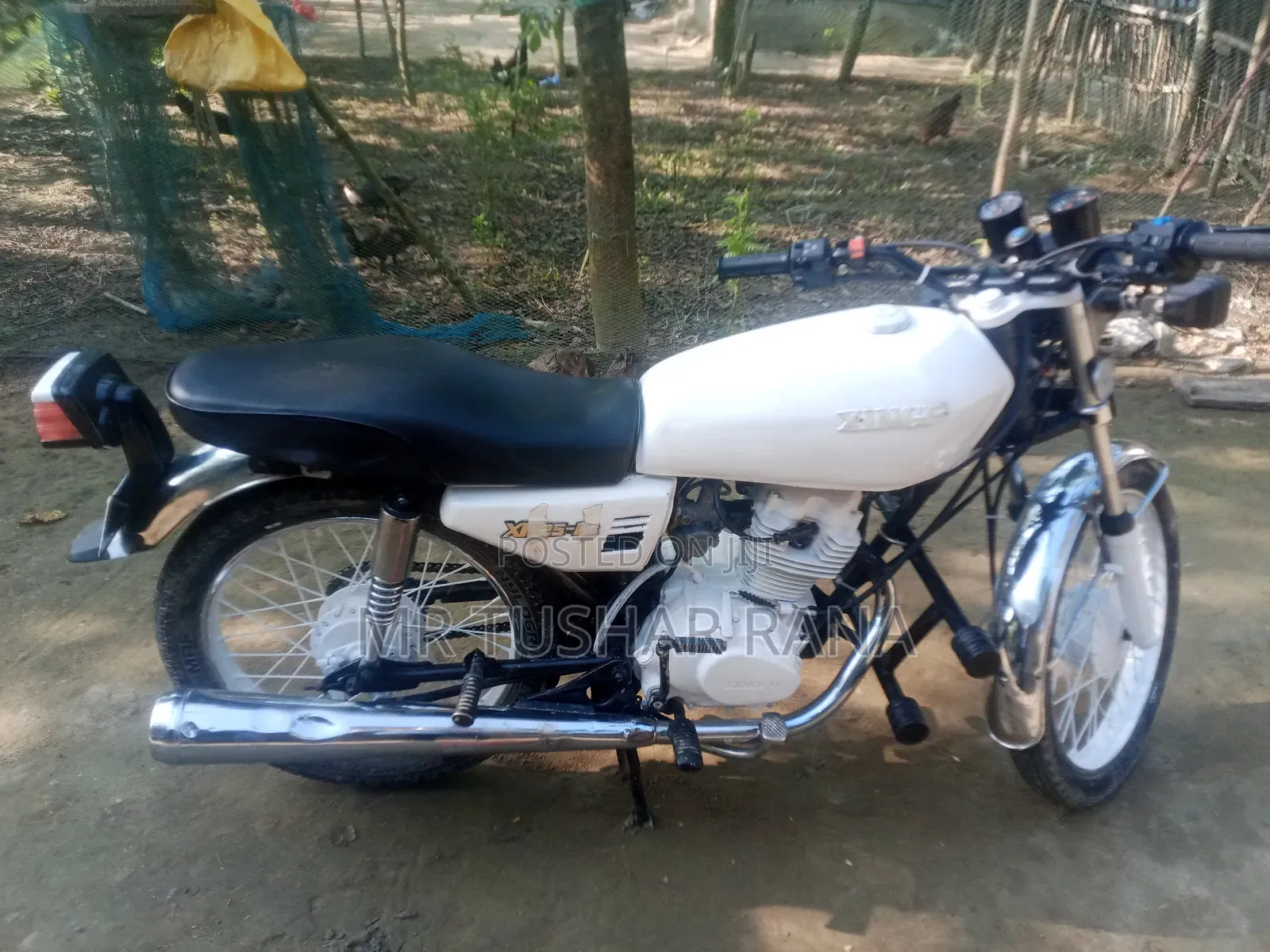 Motorcycle 2005 White