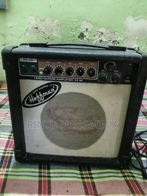 Photo - Hoffman F35 Lead Guitar Amplifier