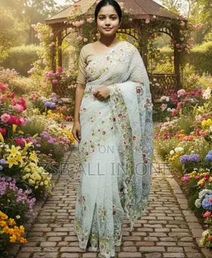 Georgette Organza Saree New Update For Sisters