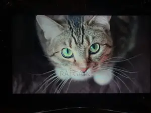 Walton Smart Led Tv We32g20