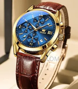 Photo - Olevs ক্রনোগ্রাফ ঘড়ি