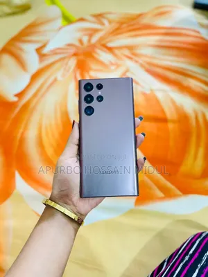 Samsung Galaxy S22 Ultra 256 GB Gray