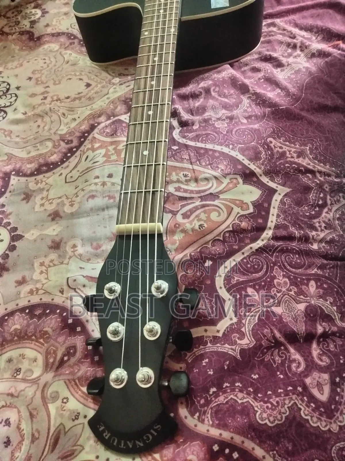 Signature Guitar Acoustic