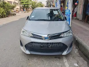 Photo - Toyota Corolla Fielder 2020 Silver