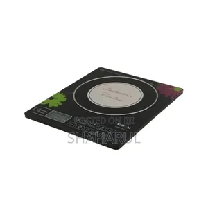 Photo - ভিশন ইন্ডাকশন কুকার VSN 1204(বর্ডার)
Br