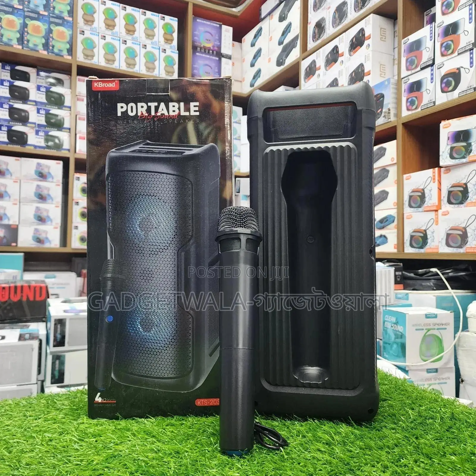 Kts-2032 Portable Rgb Speaker With Wireless Microphone