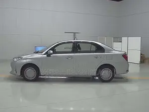 Toyota Axio 2020 Silver