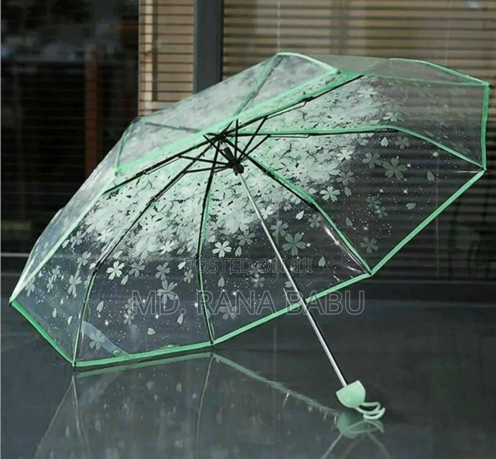 Transparent Umbrella Best Collection