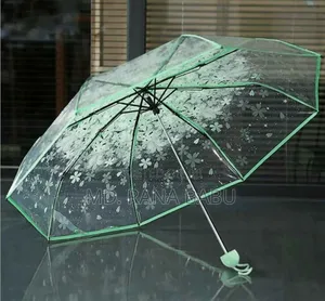 Transparent Umbrella Best Collection
