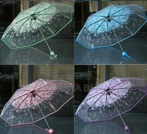Transparent Umbrella Best Collection