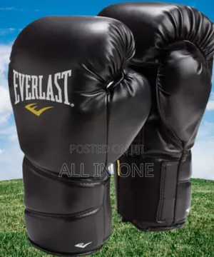 Photo - Everlast Leather Boxing Gloves