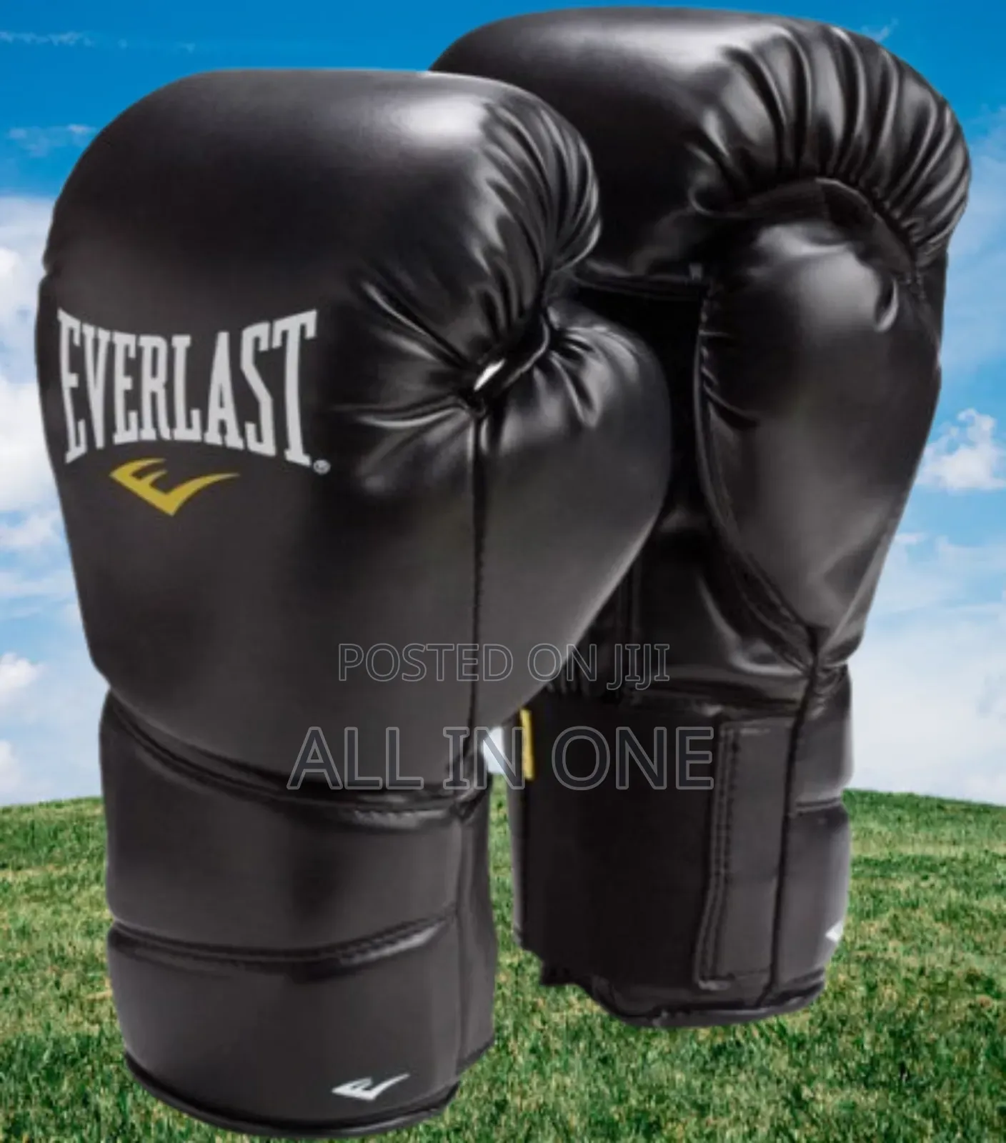 Everlast Leather Boxing Gloves