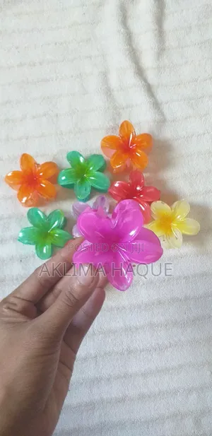 Hair Clow Clip