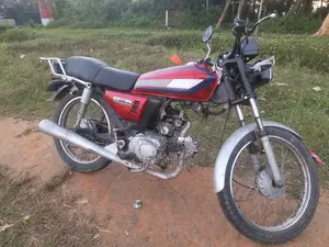 Photo - Dayun DY100-A 2005 Red