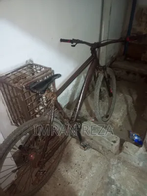 Photo - Bycyle Phoenix