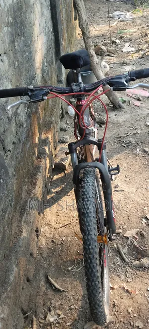 Phoenix Boxter MTB Bicycle