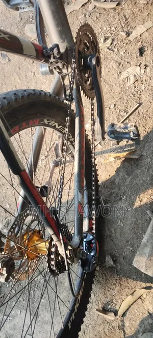 Phoenix Boxter MTB Bicycle