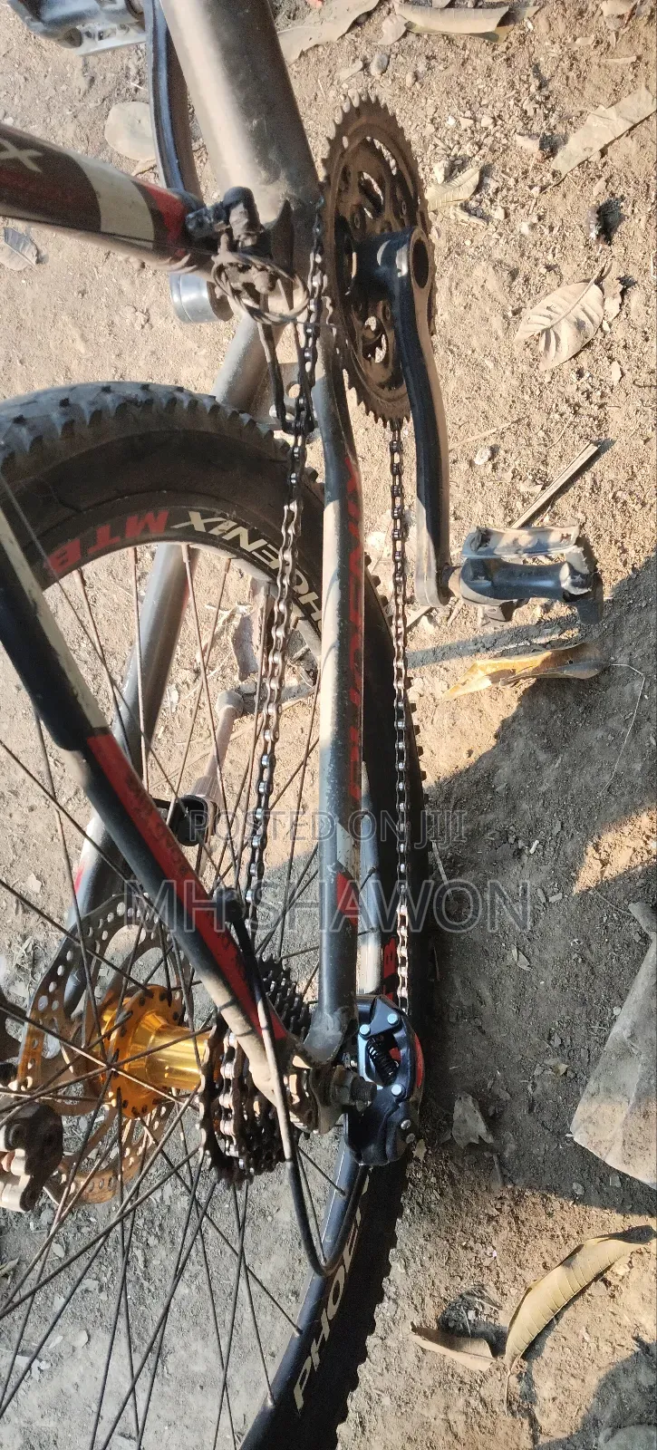 Phoenix Boxter MTB Bicycle