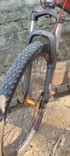 Phoenix Boxter MTB Bicycle